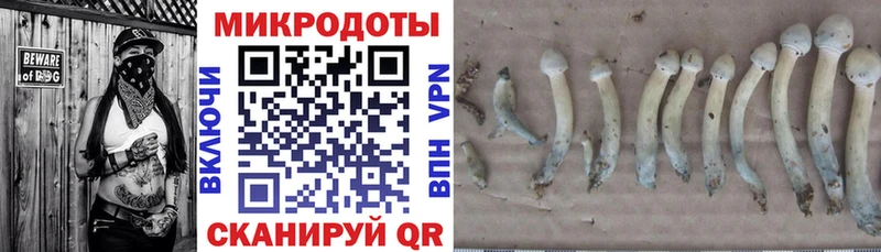 Галлюциногенные грибы Magic Shrooms кракен онион Ревда